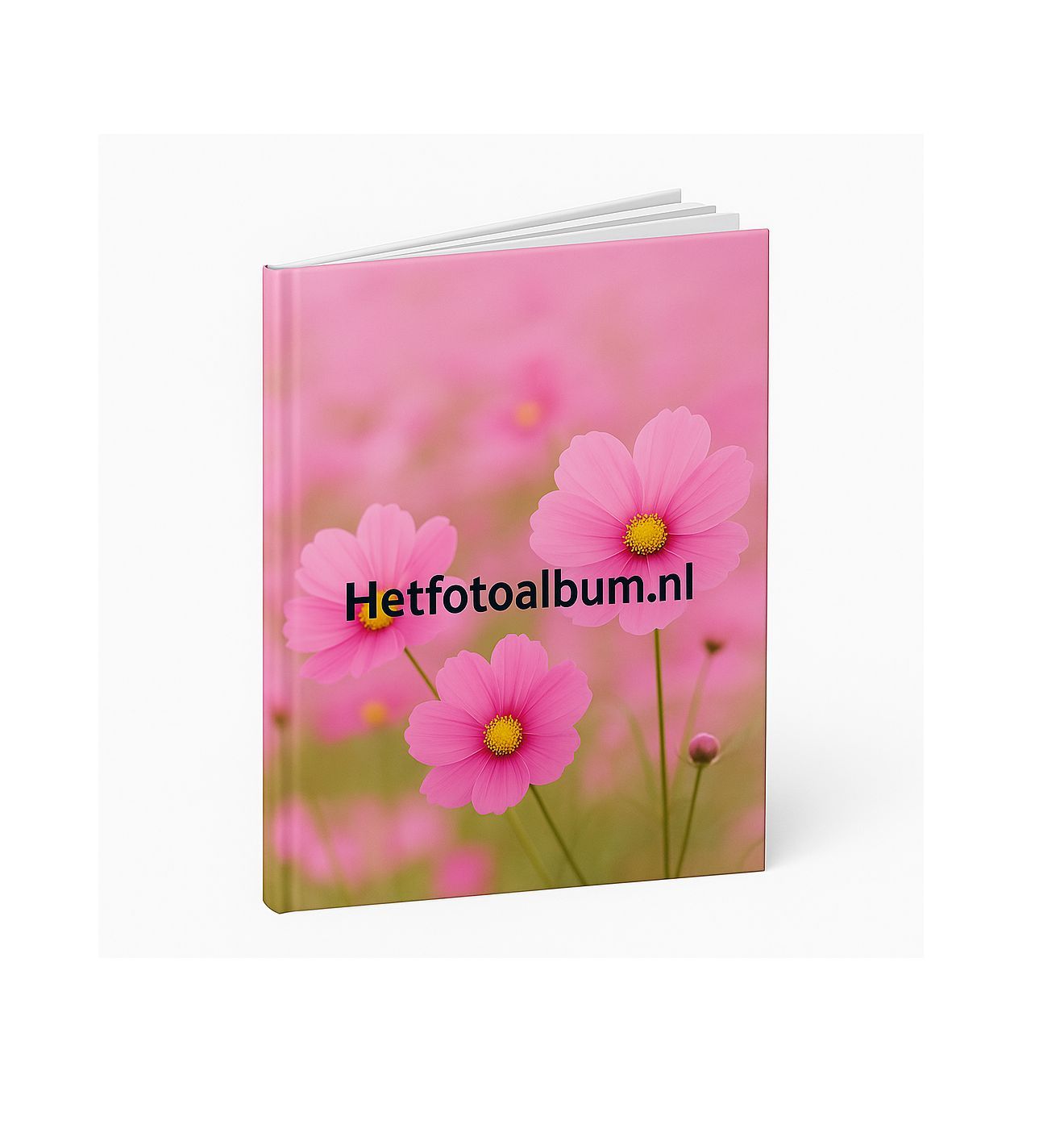 Detail 2